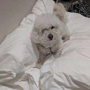 Meet your Posher, Angela